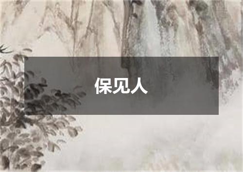 保见人