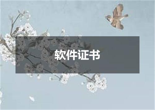 软件证书