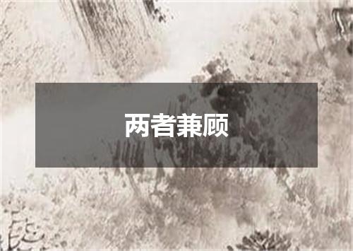 两者兼顾