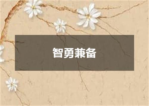 智勇兼备