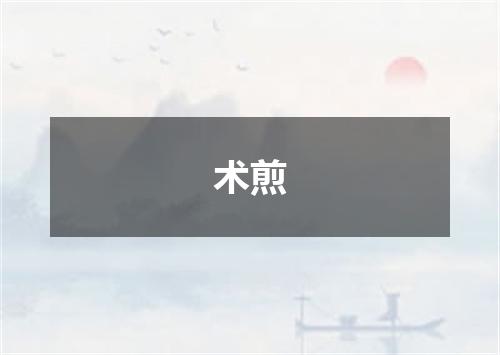 术煎