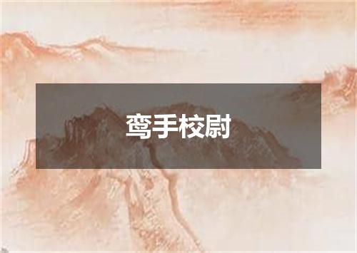 鸾手校尉
