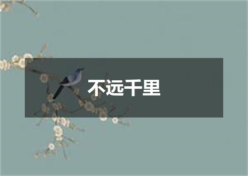 不远千里