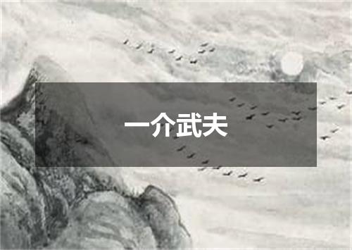 一介武夫