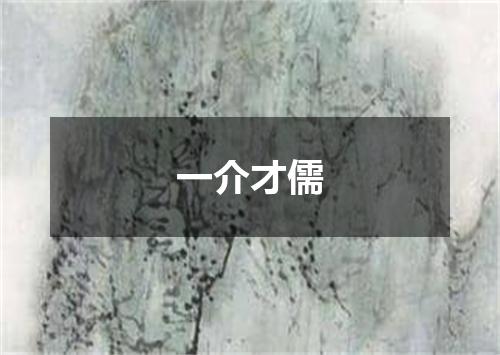 一介才儒