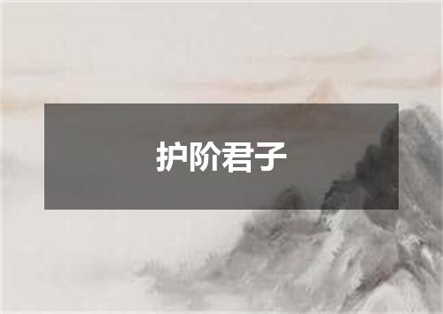 护阶君子
