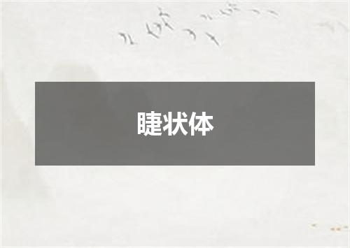 睫状体