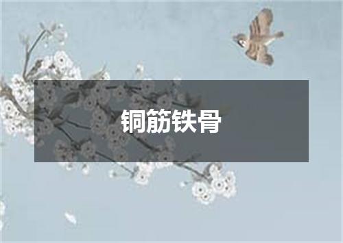 铜筋铁骨
