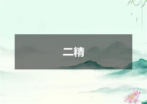 二精