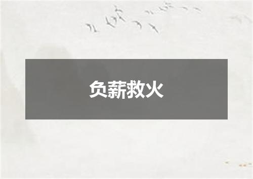 负薪救火