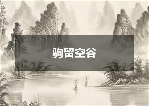 驹留空谷