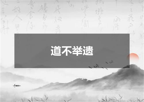 道不举遗
