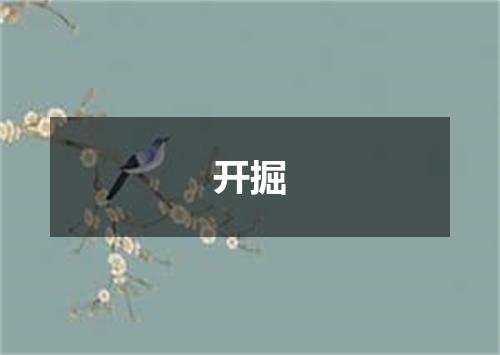 开掘