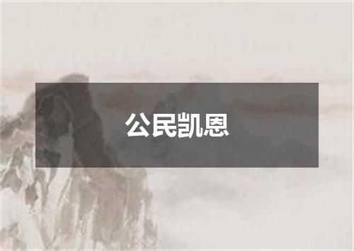 公民凯恩