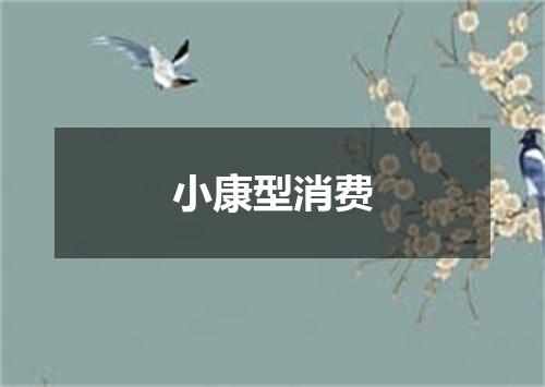 小康型消费