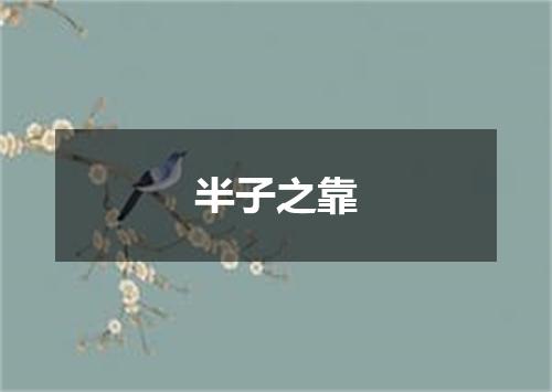 半子之靠
