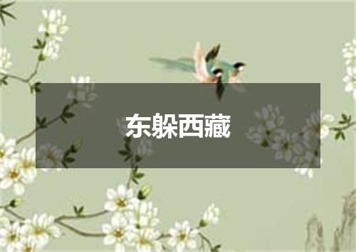 东躲西藏