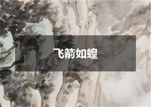 飞箭如蝗