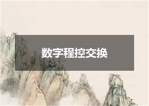 数字程控交换