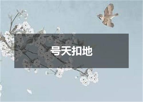 号天扣地