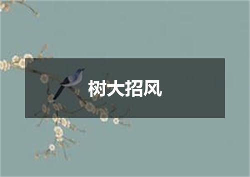 树大招风