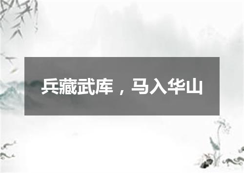 兵藏武库，马入华山
