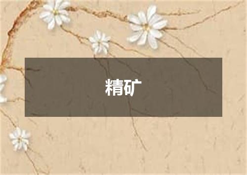 精矿