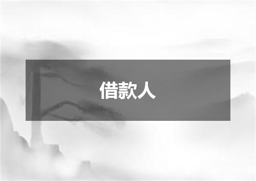 借款人