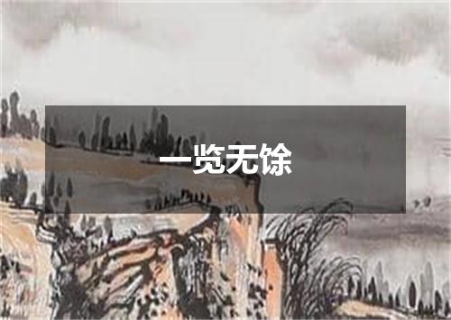 一览无馀