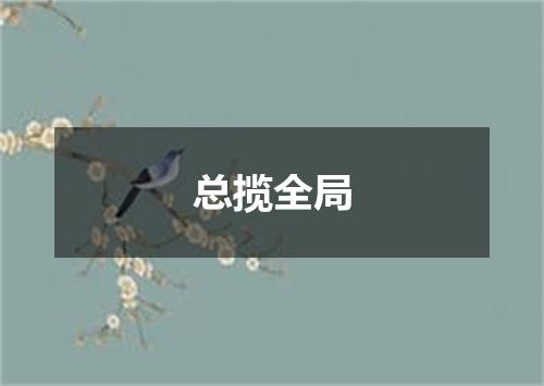 总揽全局