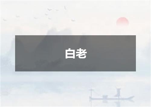 白老