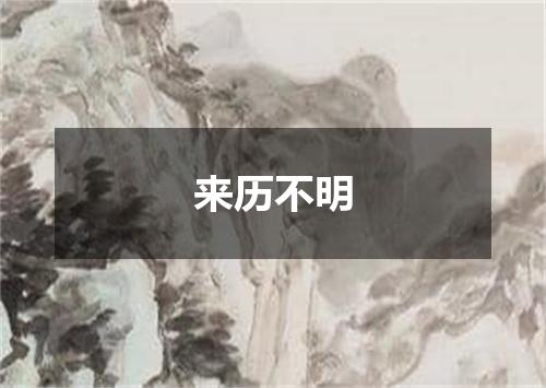 来历不明