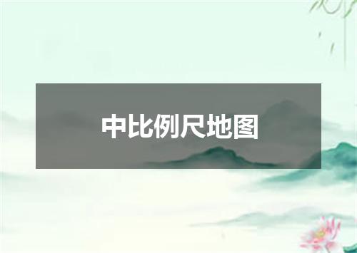 中比例尺地图