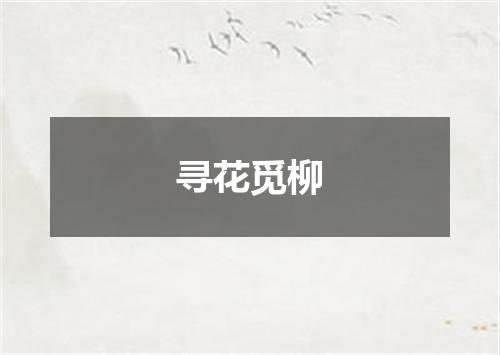 寻花觅柳