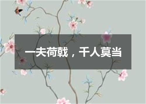 一夫荷戟，千人莫当