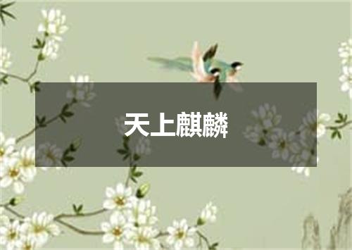 天上麒麟