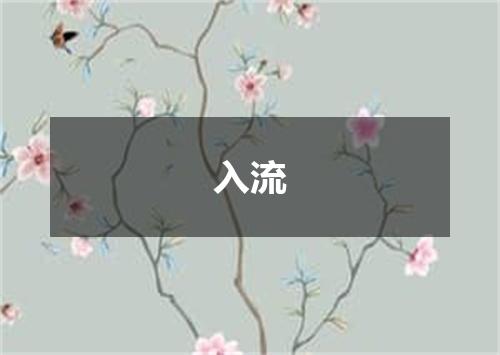 入流