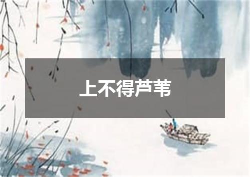 上不得芦苇