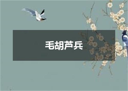 毛胡芦兵