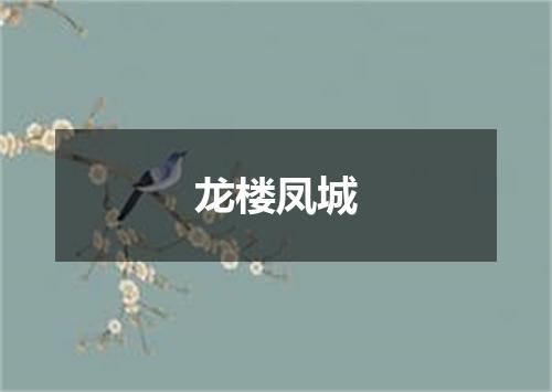 龙楼凤城
