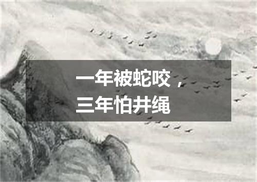 一年被蛇咬，三年怕井绳