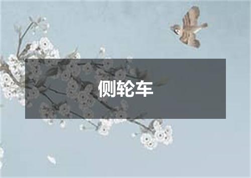 侧轮车