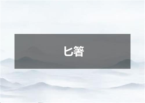 匕箸