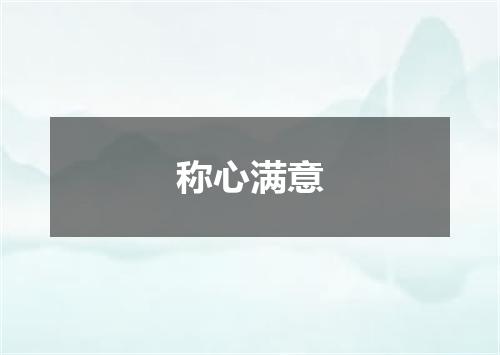 称心满意