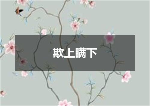 欺上瞒下