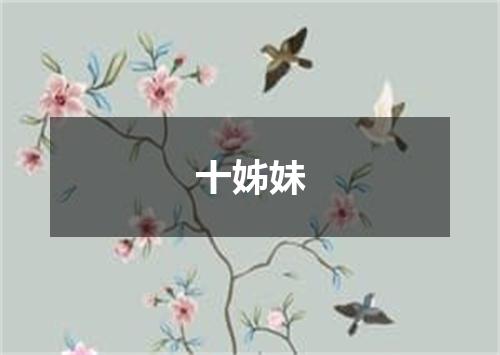 十姊妹