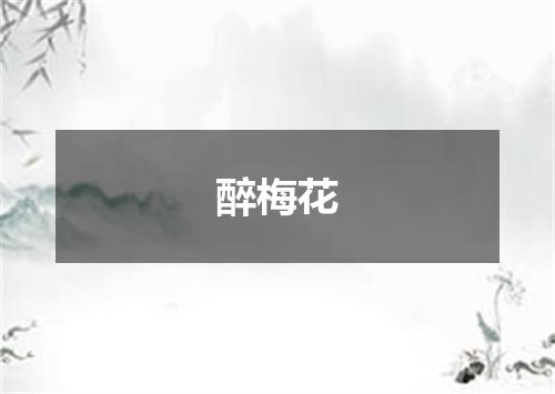醉梅花