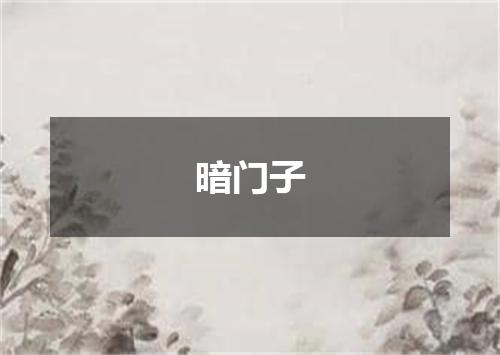 暗门子