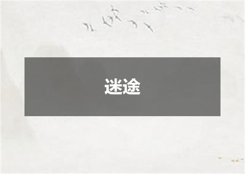 迷途