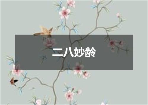 二八妙龄